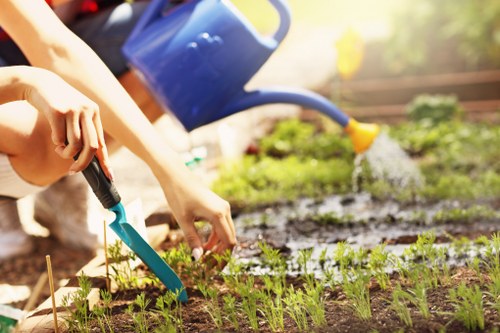 A close-up view of a gardener's hands planting young seedlings in a well-maintained garden bed with dark soil, surrounded by a variety of small green plants and emerging shoots. In the background, a person is watering the garden using a blue watering can, which is slightly out of focus. The garden features a neatly edged flower bed with freshly tilled soil and a lush, green lawn area nearby. The environment appears to be outdoors on a sunny day, with natural light illuminating the scene and some foliage visible in the background. This image reflects professional gardening and planting services, emphasizing careful site preparation and plant care typically offered by landscapers in Brixton.