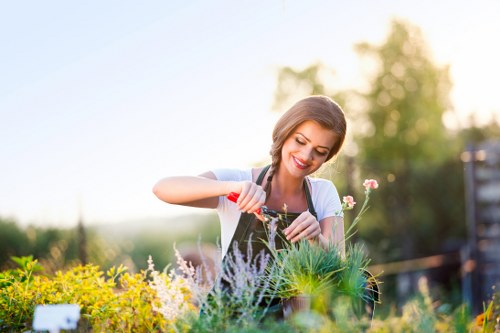 A woman tending to a garden shows her using a small hand trowel to carefully plant or tend to a variety of flowering plants and shrubs in a well-maintained outdoor space. The garden layout features a lush, green lawn in the foreground, bordered by vibrant flower beds filled with colorful blooms and leafy foliage. Behind the woman, there are neatly trimmed hedges and taller trees that add depth and natural privacy to the space. The surface of the garden includes soil beds, gravel pathways, and wooden decking, creating a diverse outdoor environment suited for sustainable gardening practices. The scene is illuminated by soft natural sunlight, suggesting a clear, calm day in Brixton, with a warm and inviting atmosphere. This setting exemplifies professional garden maintenance and landscaping, integrating elements typical of residential outdoor spaces in London, and aligns with environmentally conscious gardening approaches promoted by companies like landscapersbrixton.co.uk, focusing on recycling and sustainability.