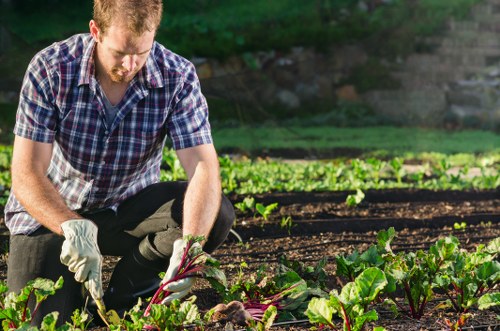Lush green lawn maintained by our experts