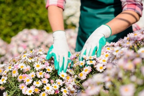 Landscapers Brixton maintaining safe and tidy project work