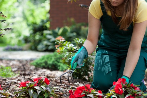 Our professional team designing a garden
