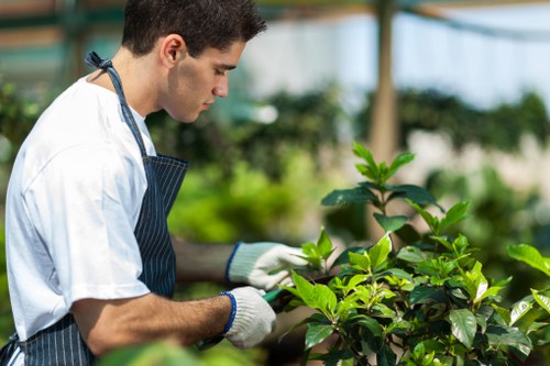 Accepted payment methods for Landscapers Brixton including cards and PayPal