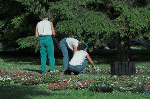 The image depicts three individuals working in a well-maintained front garden, which features a lush, green lawn with neatly trimmed grass, bordered by flower beds filled with small, colorful flowers. Behind them, a large tree with dense, dark green foliage provides shade, and its branches spread across the scene, creating a natural canopy. Two of the people are crouched down near the flower beds, appearing to be planting or weeding, while one person stands nearby, observing or assisting, dressed in casual gardening attire suitable for outdoor maintenance. The garden area adjacent to a paved pathway is clean and organized, with a black plastic garden waste bin positioned to the right. The scene is evenly lit with natural daylight, suggesting clear weather, and emphasizes the importance of professional outdoor care and landscaping services, such as those offered by landscapersbrixton.co.uk, in creating inviting, well-maintained outdoor spaces in Brixton or the surrounding areas.