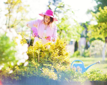 A woman wearing a pink sun hat and gardening gloves is tending to a well-maintained garden bed with yellow flowering plants. She uses small gardening tools to carefully prune or tend to the plants, which are set in a landscaped outdoor space featuring a neatly trimmed hedge behind her. The garden has a lush green lawn area and a background of trees with bright, dappled sunlight filtering through the leaves, indicating a clear day. A blue watering can is placed on the grass nearby. The scene showcases a pleasant yard environment typical of outdoor gardening and landscaping efforts in Brixton, with vibrant natural tones of green, yellow, and pink, emphasizing an active, healthy garden managed by professional landscaping services such as Landscapers Brixton.