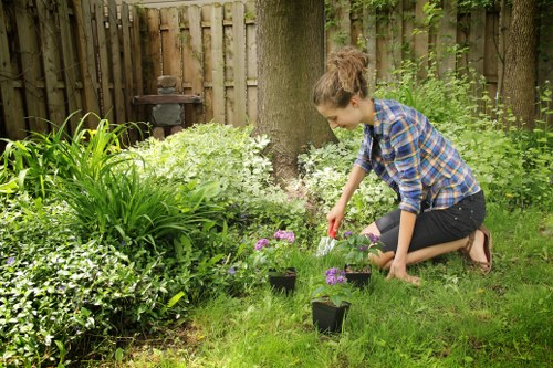 A young woman with brown hair tied back, dressed in a blue plaid shirt and black jeans, is kneeling on a lush green lawn in a garden in Brixton. She is planting small flowering plants in black pots on the grass, with a garden bed filled with various shrubs, flowering plants, and tall green foliage in the background. A wooden fence surrounds the garden, with trees and dense greenery behind it, creating a shaded outdoor space. The garden features a mix of soil, flowering plants with purple and white blooms, and well-maintained grass. An old-fashioned metal barbecue grill is visible in the background, indicating a back garden used for outdoor leisure. The scene suggests outdoor gardening activity supported by professional landscapers in Brixton, with natural lighting highlighting the vibrant greenery and freshly planted flowers. The overall environment appears peaceful, well-kept, and reflective of typical residential garden landscaping in south London.