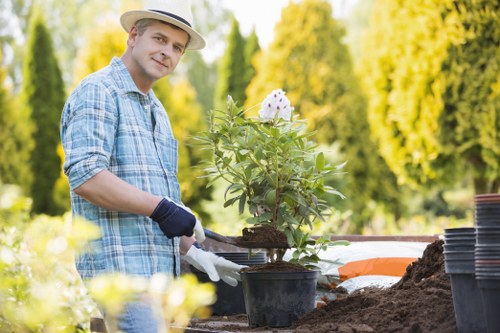 A man wearing a straw hat, light blue checkered shirt, and gardening gloves is working in a landscaped outdoor garden area, planting a potted flowering shrub with white blossoms. The garden features a well-maintained lawn with lush, green grass in the foreground, bordered by flower beds and garden soil where multiple empty plant pots are stacked nearby. In the background, tall, leafy trees with vibrant green foliage create a natural backdrop under bright, sunny weather, suggesting a pleasant day for outdoor gardening. The scene reflects professional landscaping activities, such as planting and garden maintenance, consistent with services offered by Brixton landscape gardeners. The overall setting highlights an organized, cultivated garden space with healthy plants and carefully arranged outdoor elements, emphasizing the importance of professional garden care and landscaping in Brixton or surrounding areas.