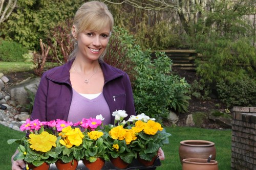 A woman with blonde hair smiling in a garden setting, holding a black tray filled with several small terracotta pots containing vibrant yellow and pink flowering plants. The garden features a neatly maintained lawn area with lush green grass, surrounded by various shrubs, bushes, and trees in the background. There is a stone pathway and a small staircase leading up to a higher part of the garden, with some brick edging visible along the flower beds. The scene appears to be on a bright, partly cloudy day, and the garden setting suggests areas managed with professional gardening or landscaping services, such as those offered by Landscapers Brixton, to maintain its tidy and attractive appearance.