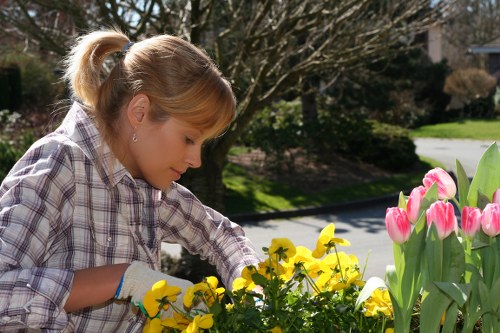 A woman with blonde hair tied back is planting or tending to yellow and pink tulips in a well-maintained front garden. The garden features a lush green lawn with dense trees and shrubs in the background, providing a natural, outdoor setting typical of outdoor spaces in Brixton. The flowers are in full bloom, and the tulips' vibrant pink and yellow hues contrast against the richer green foliage. The garden has neatly bordered flower beds, with a paved driveway or pathway visible in the background, shaded by the surrounding trees. The weather appears sunny with soft natural lighting illuminating the scene, suggesting a mild, pleasant day suitable for gardening. The overall environment reflects a tidy, landscaped residential garden that benefits from professional garden maintenance and planting services offered by companies like Landscapers Brixton, ideally located within the postcode area of SW2 or nearby Brixton, South London.