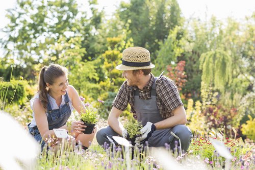 In a well-maintained garden with lush green trees and vibrant flowering shrubs, a man and a woman are kneeling on the grass, engaged in gardening activities. The woman, with long hair tied back, holds a small black container with plants, while the man, wearing a straw hat and gardening gloves, is planting or tending to the plants. The garden features a combination of grass lawn, flower beds with natural soil borders, and various seasonal flowers in bloom, displaying a mix of colours including purple, yellow, and pink. In the background, taller trees and shrubbery create a natural enclosure, providing a peaceful outdoor environment typical of a suburban garden in Brixton. The weather appears sunny with clear lighting, highlighting the natural tones of the garden elements. This scene reflects typical gardening and outdoor maintenance activities, relevant to services offered by Landscapers Brixton for cultivating and caring for residential outdoor spaces, including planting, lawn care, and garden development near the postcode area of Brixton.